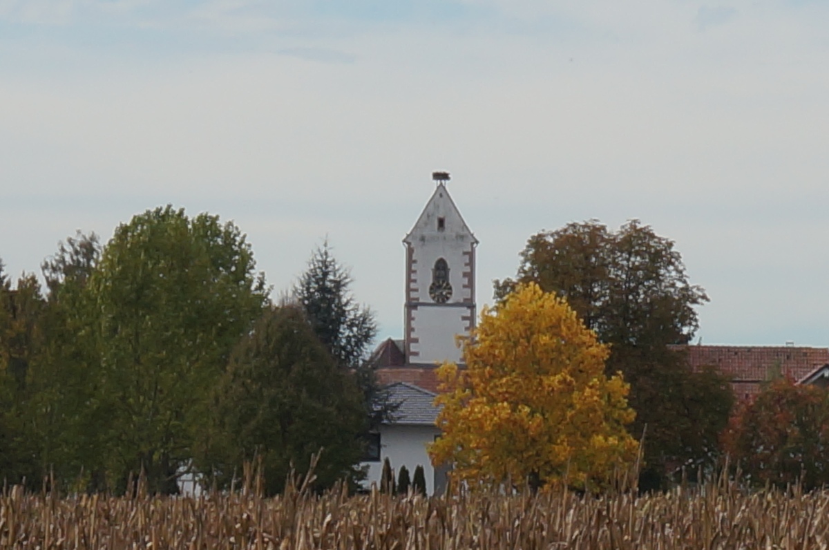 Aus der Kirche austreten 12 Gründe!Kirche Weisweil Aus der Kirche austreten 12 Gründe!Kirche Weisweil
